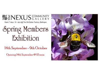 Sping Members Ex
